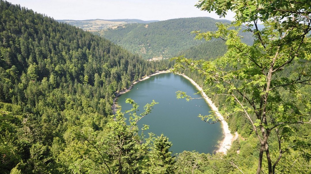 2015-07-17_017.jpg - PeBov 2015