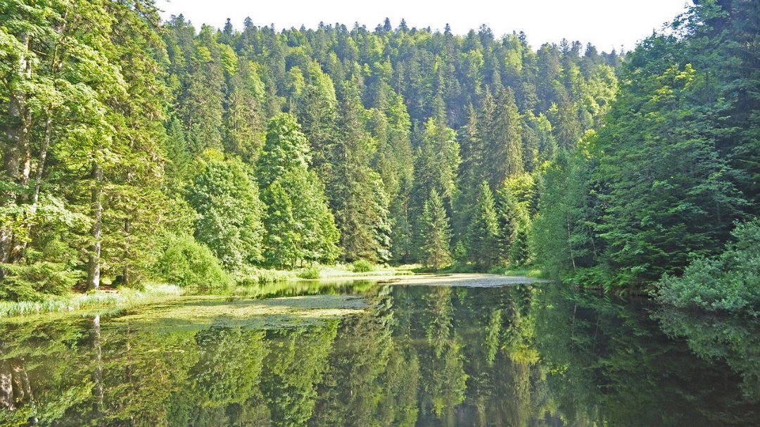 2015-07-17_027_pse.jpg - PeBov 2015