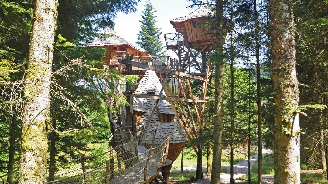 2015-07-18_002_pse.jpg - PeBov 2015