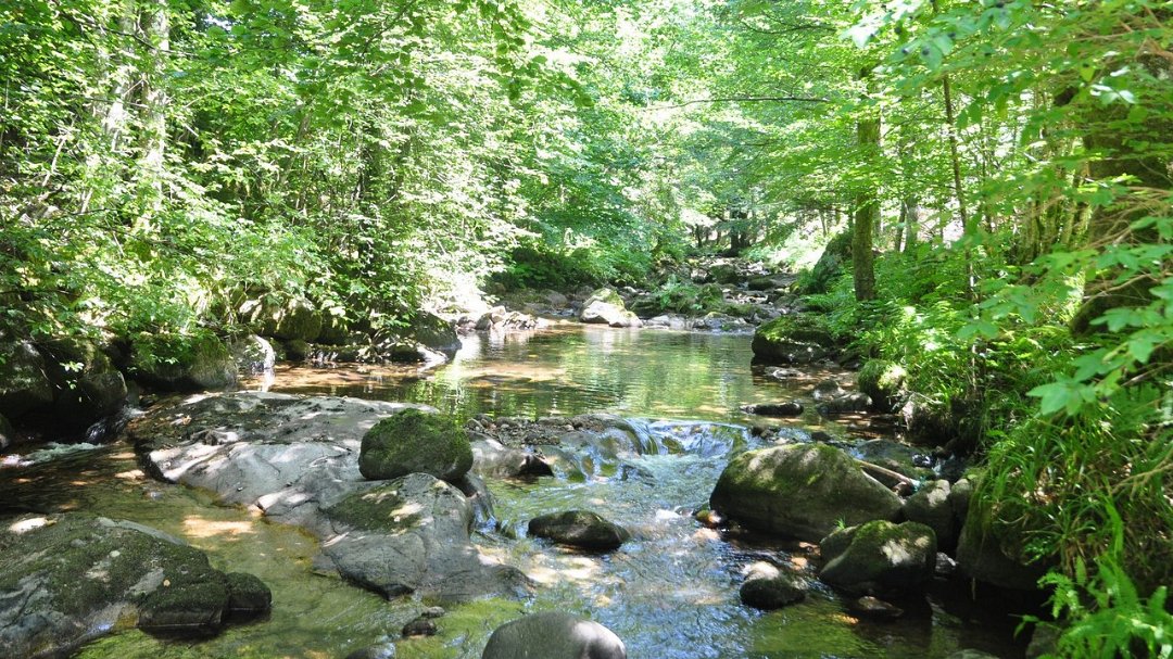 2015-07-18_003.jpg - PeBov 2015