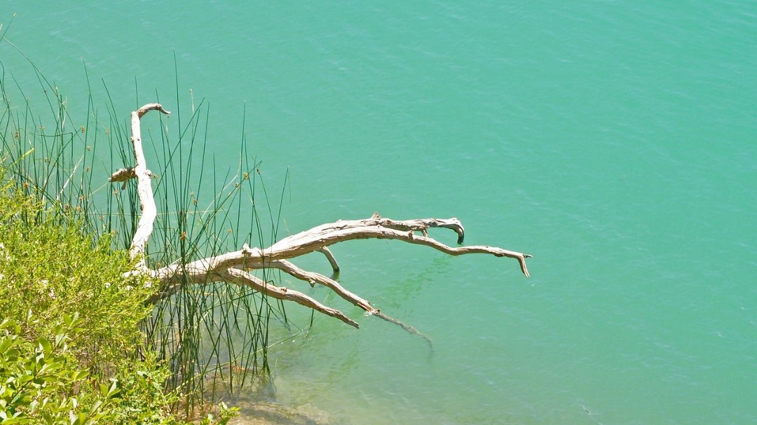 2015-07-20_006_pse.jpg - PeBov 2015