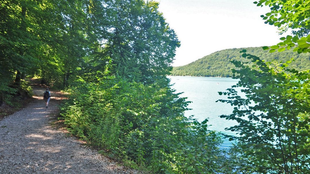 2015-07-20_034_pse.jpg - PeBov 2015