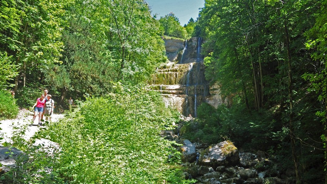 2015-07-21_008_pse.jpg - PeBov 2015