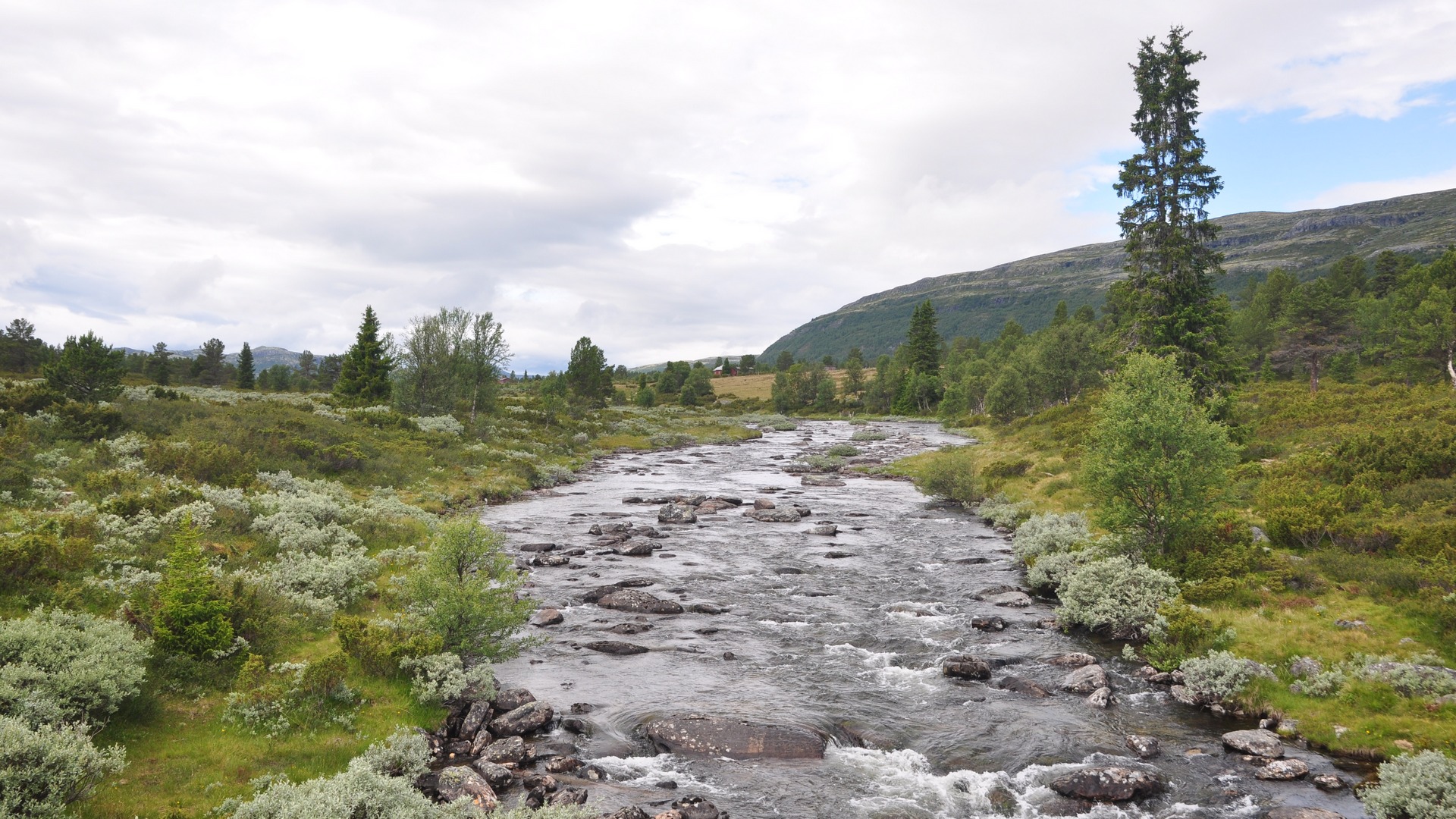 2016-07-17_017.JPG - PeBov 2016