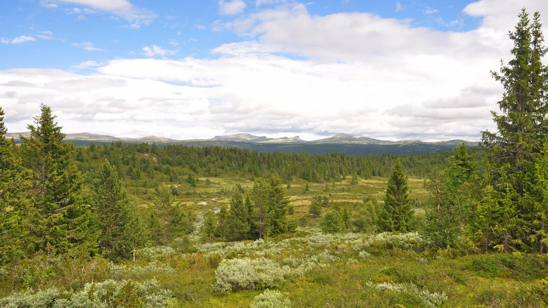 2016-07-17_024.JPG - PeBov 2016