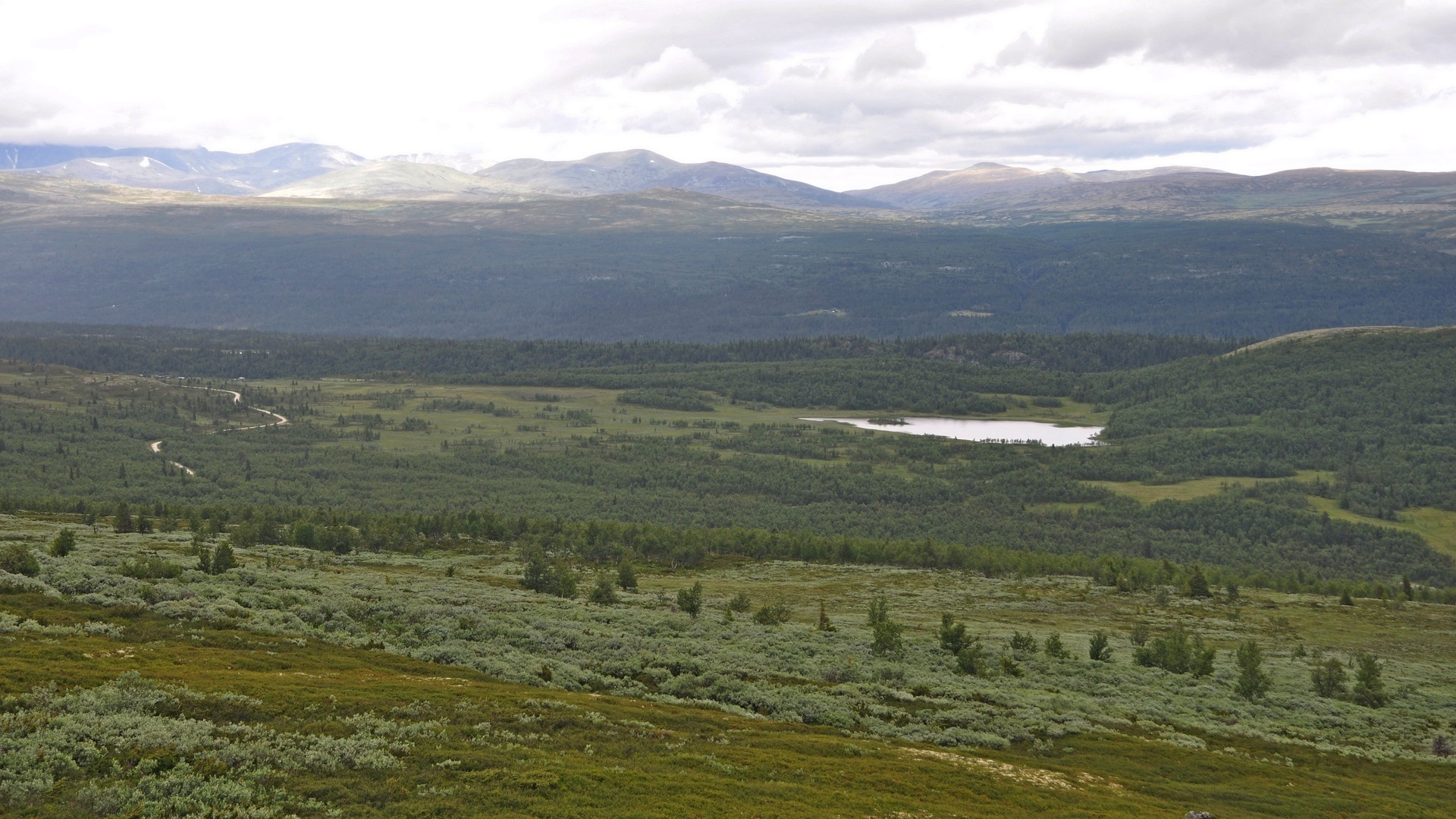 2016-07-17_043.JPG - PeBov 2016