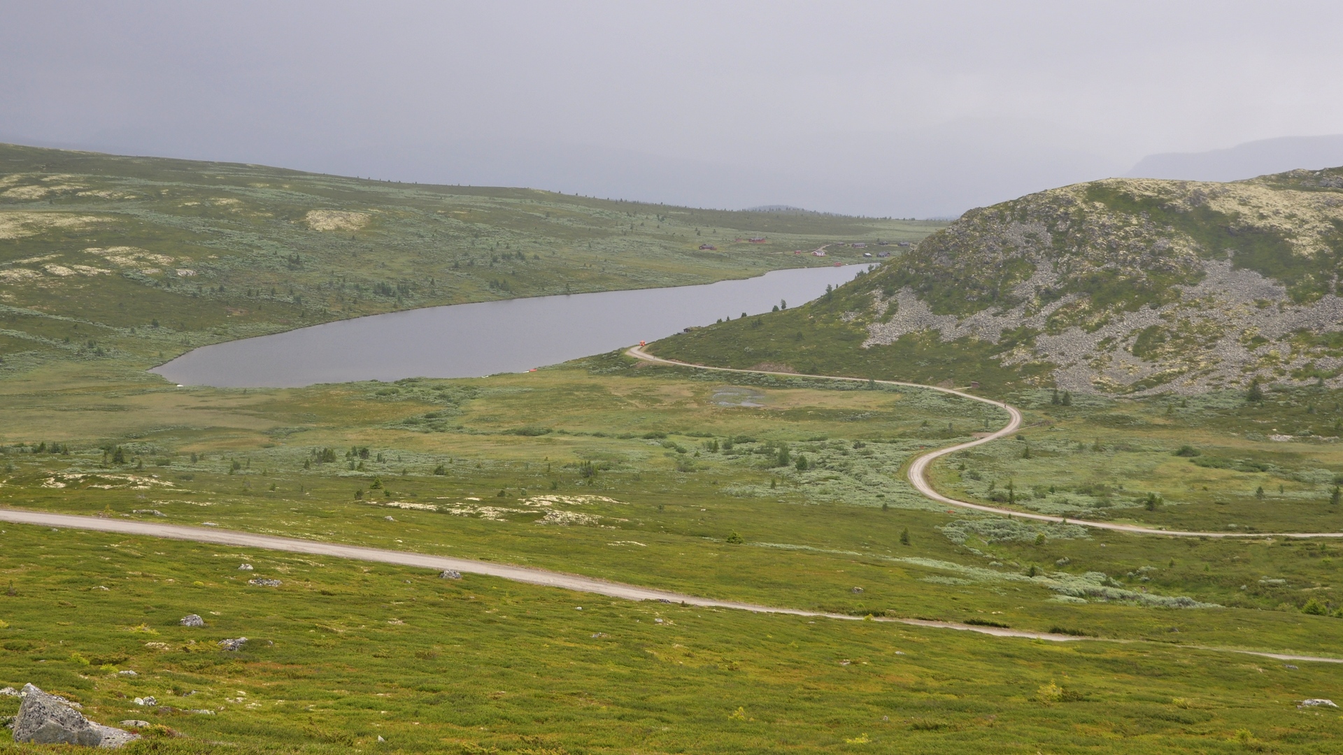 2016-07-17_045.JPG - PeBov 2016