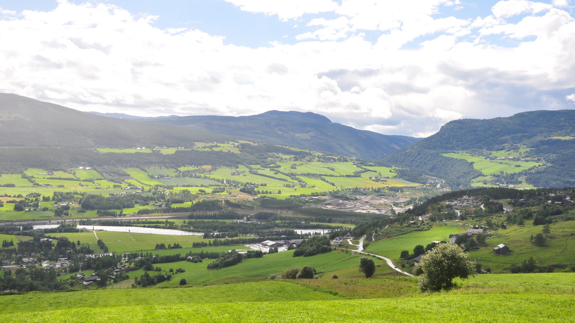 2016-07-17_050.JPG - PeBov 2016