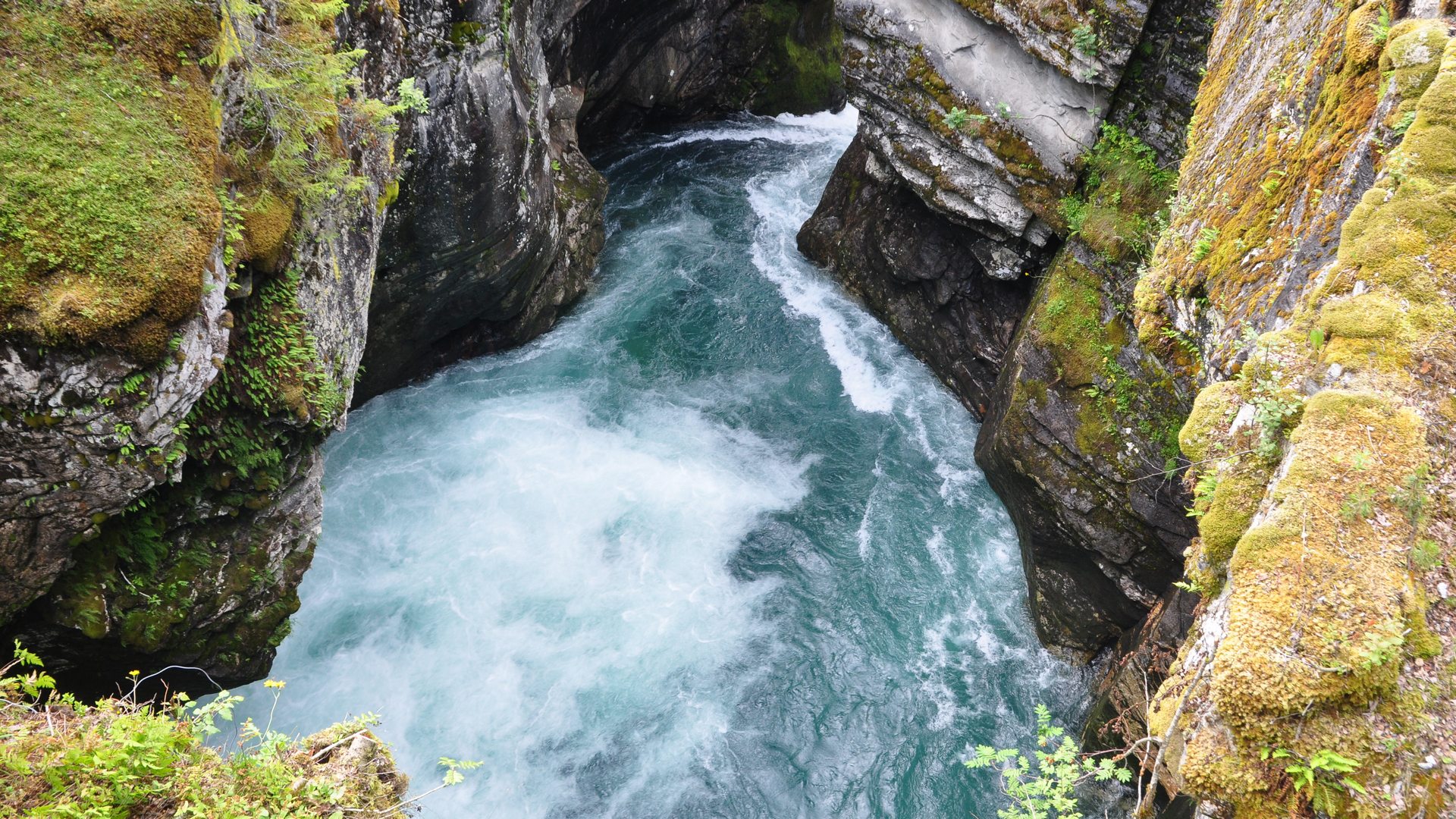 2016-07-18_072.JPG - PeBov 2016