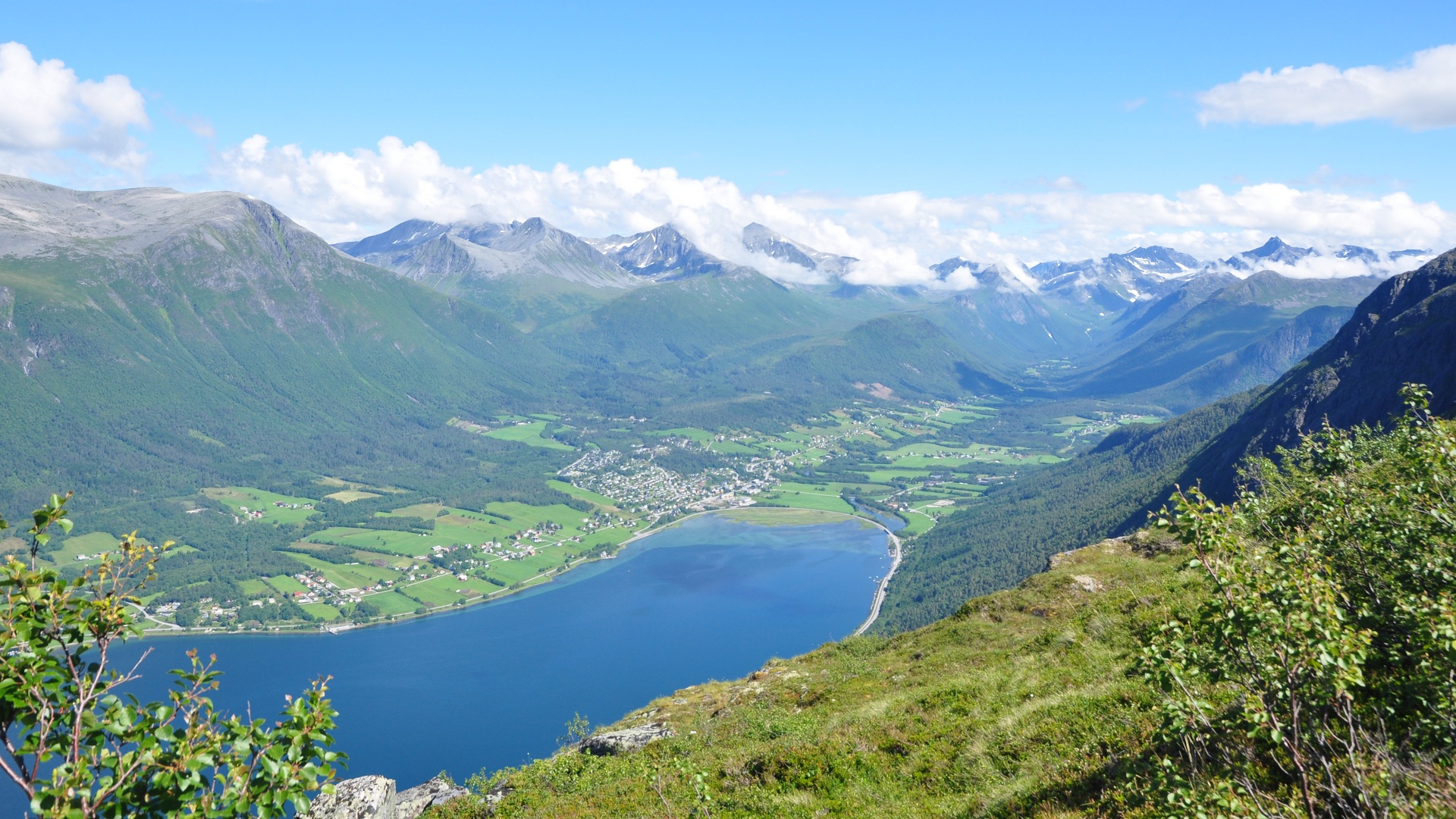 2016-07-20_042.JPG - PeBov 2016