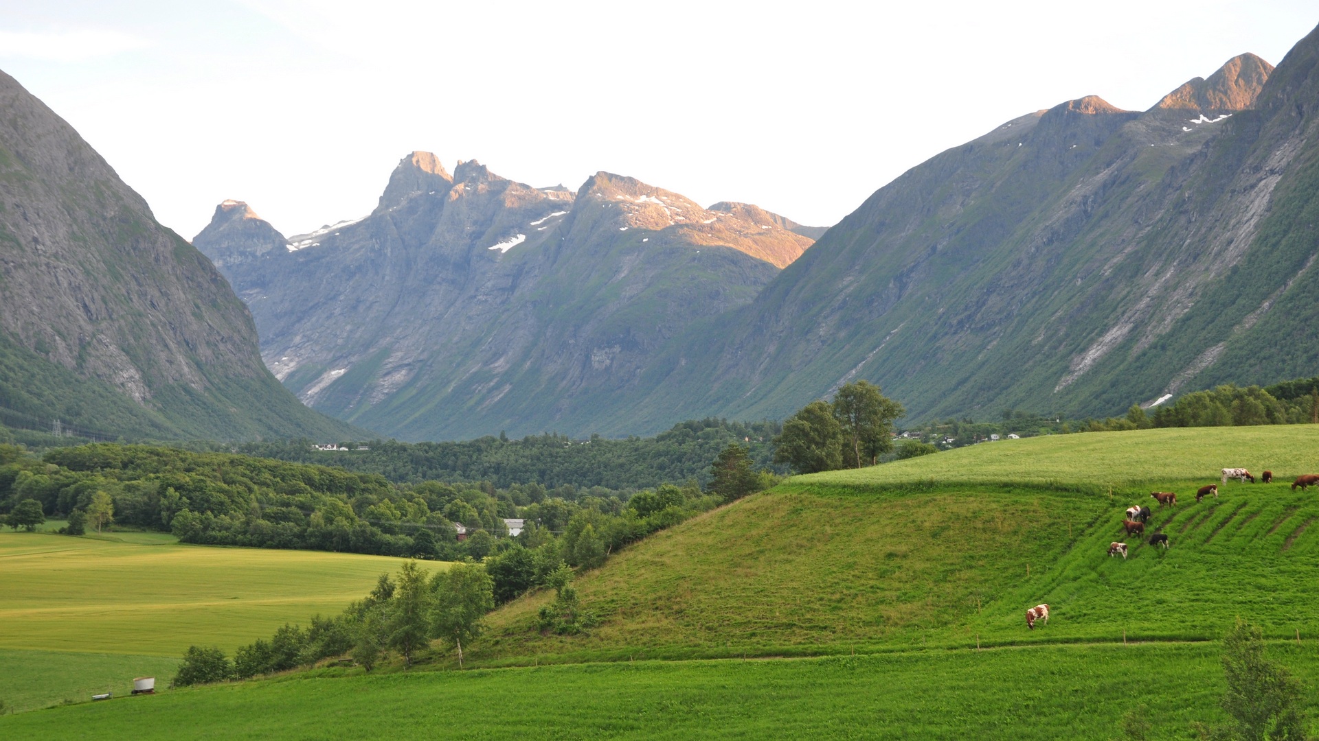 2016-07-20_076.JPG - PeBov 2016