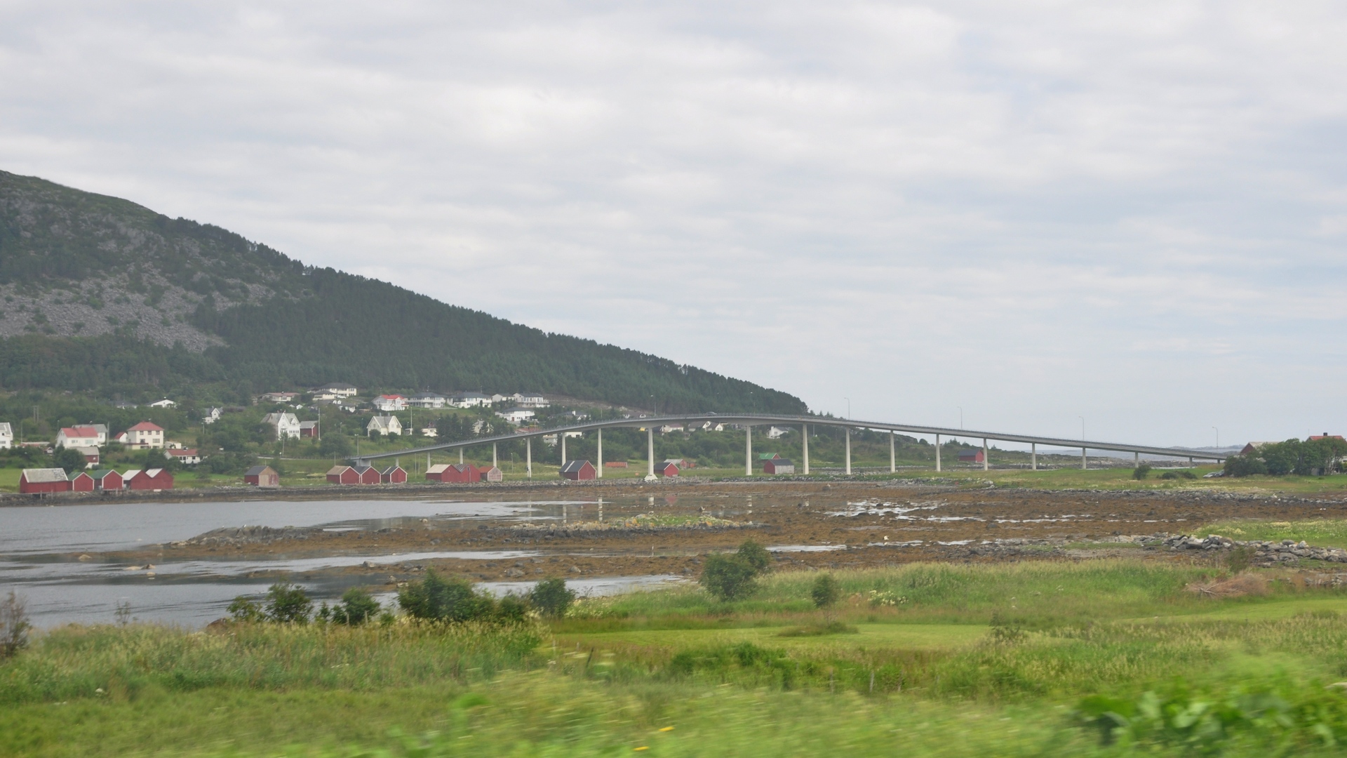 2016-07-23_007.JPG - PeBov 2016