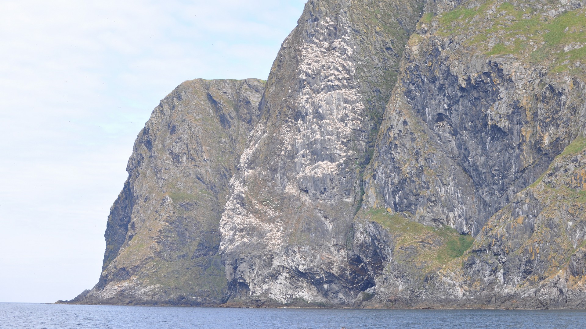 2016-07-23_047.JPG - PeBov 2016