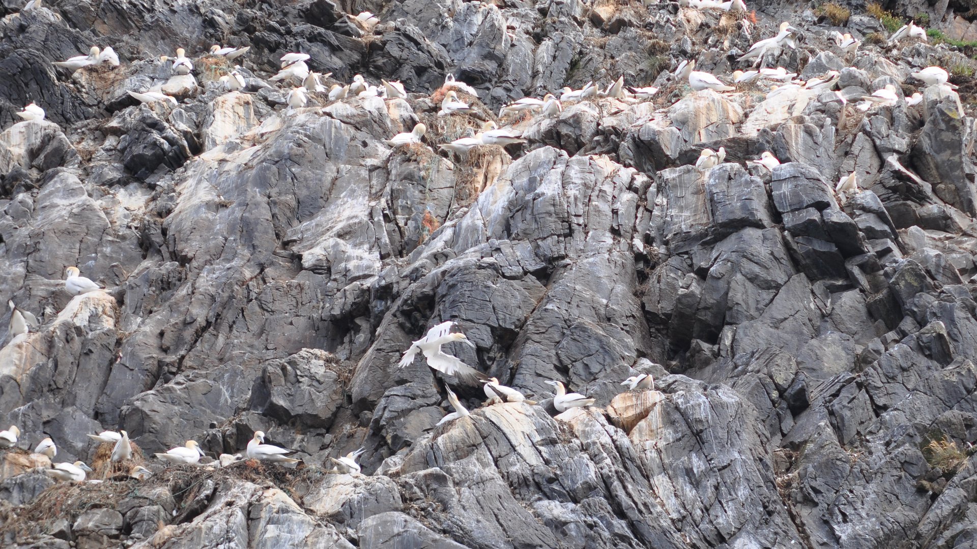 2016-07-23_071.JPG - PeBov 2016