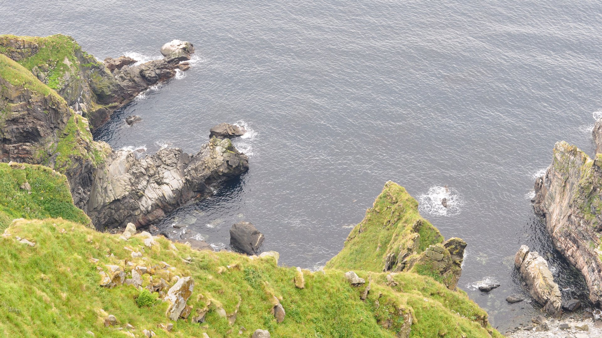 2016-07-23_107.JPG - PeBov 2016