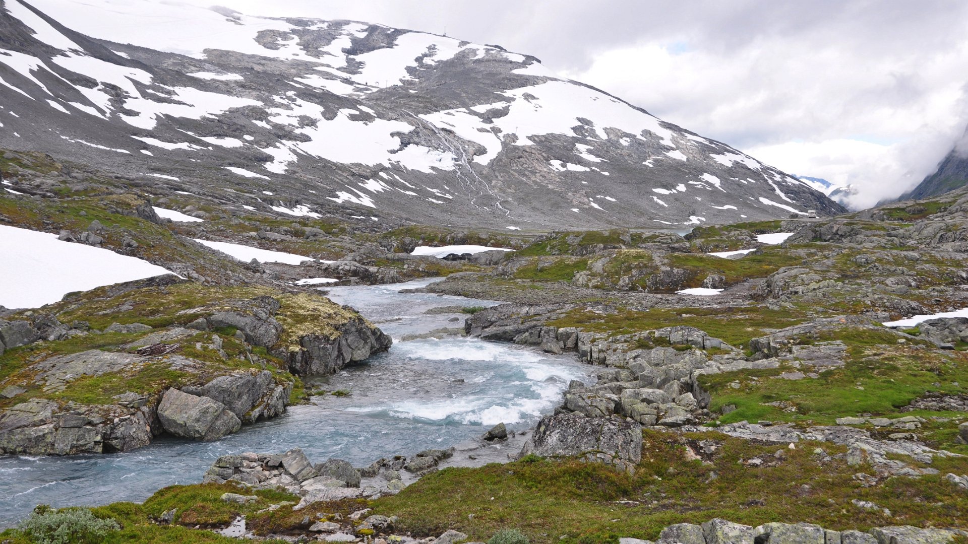 2016-07-26_019.JPG - PeBov 2016