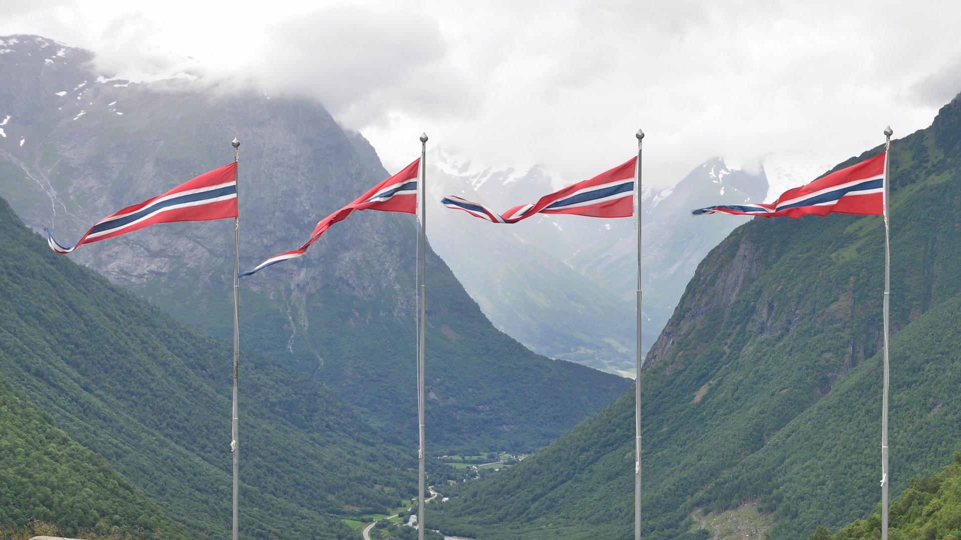 2016-07-26_061.JPG - PeBov 2016