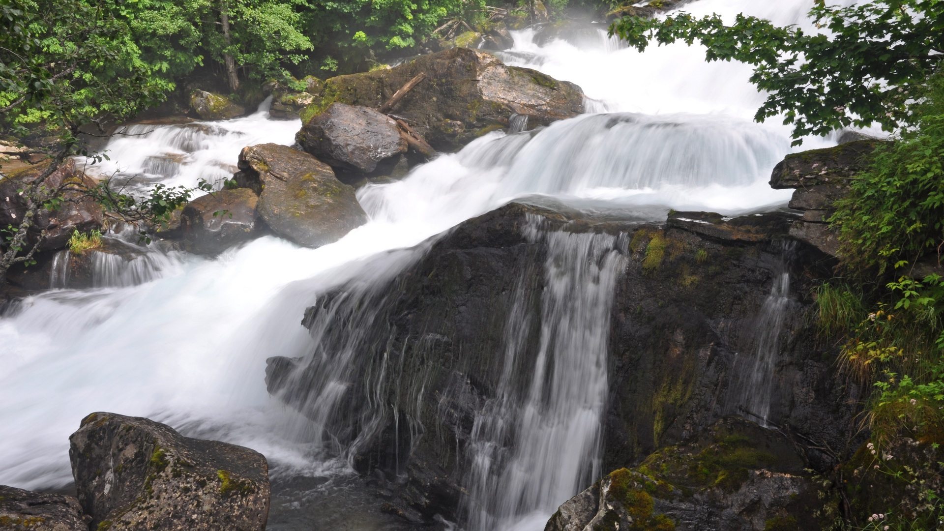 2016-07-27_063.JPG - PeBov 2016