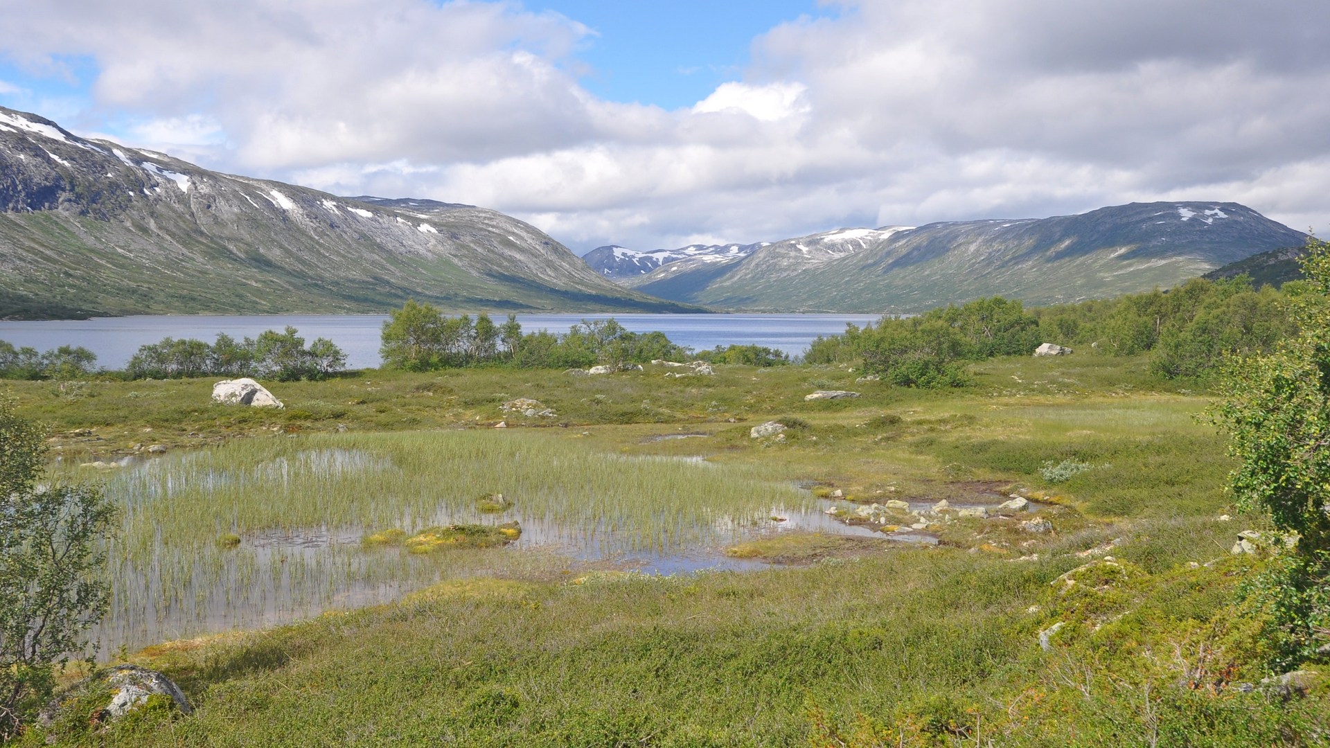 2016-07-28_003.JPG - PeBov 2016