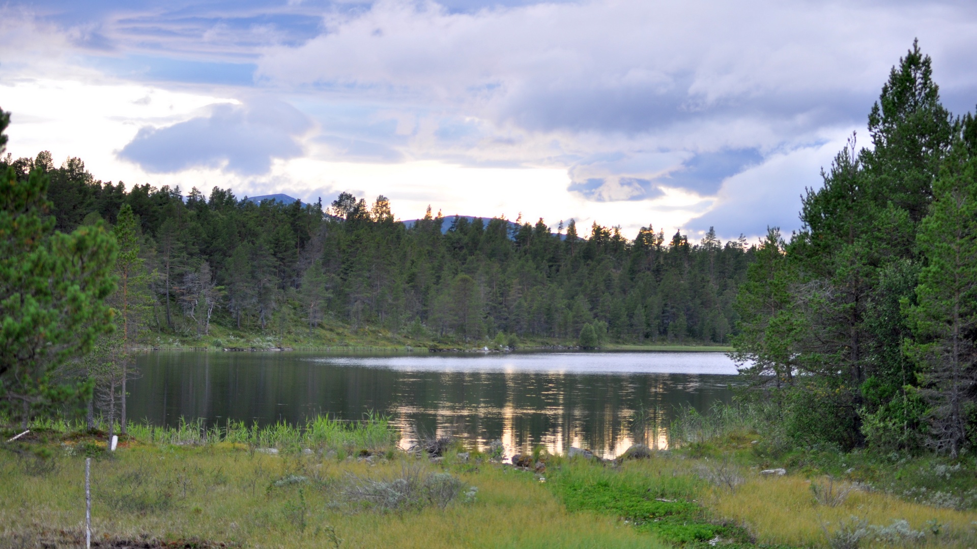 2016-07-28_020.JPG - PeBov 2016