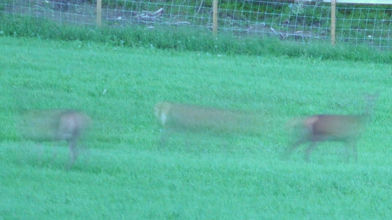 2016-07-28_029a.JPG - PeBov 2016