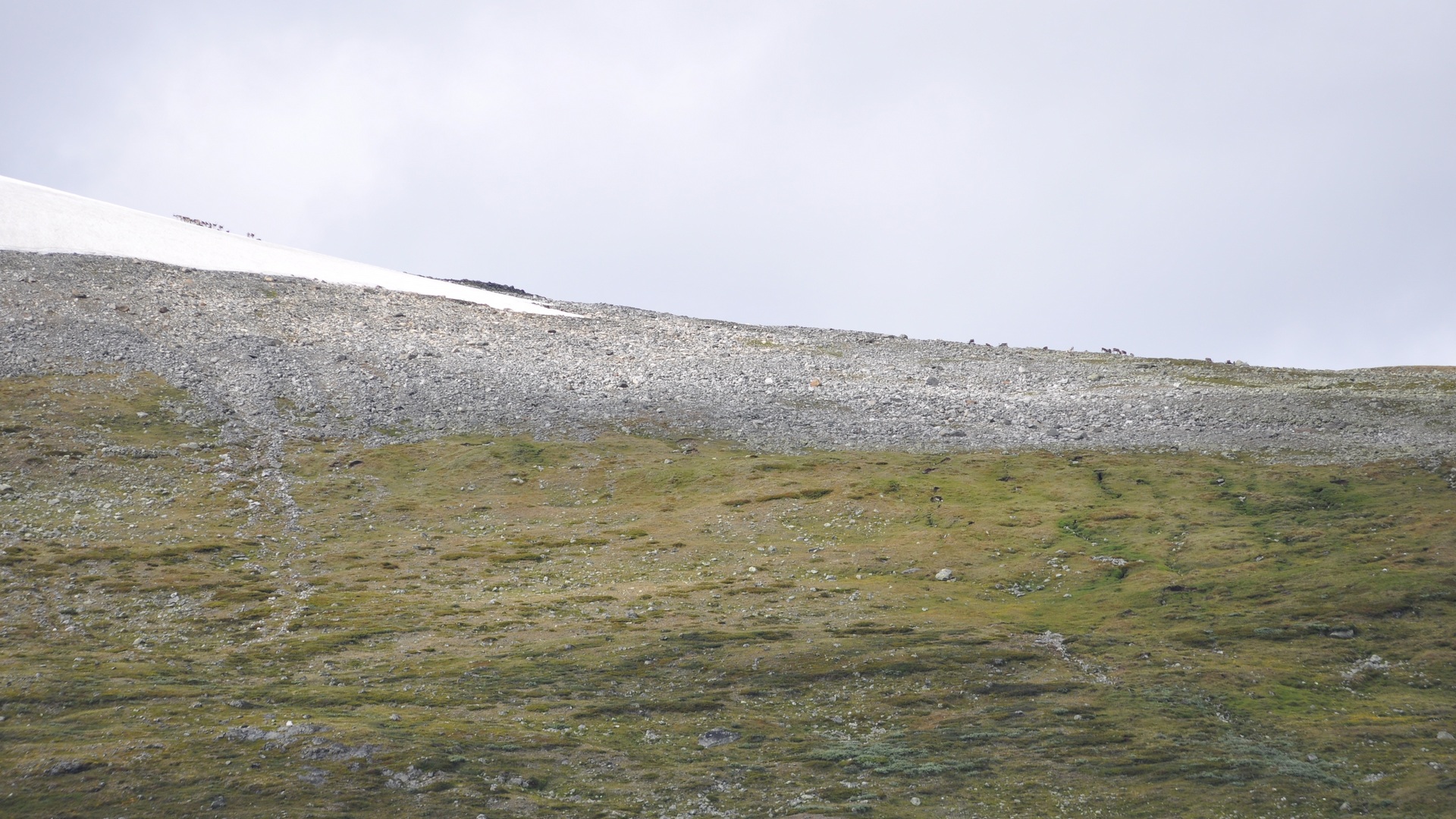 2016-07-29_049.JPG - PeBov 2016