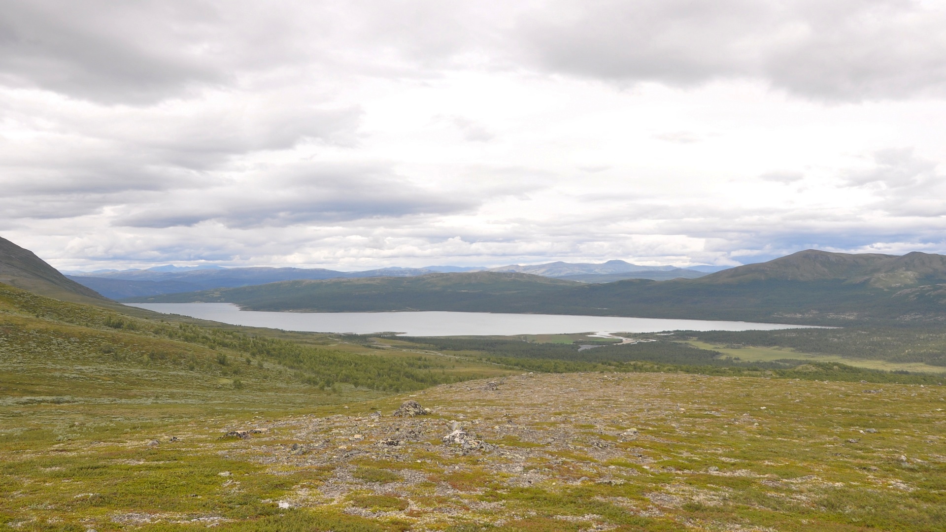 2016-07-29_053.JPG - PeBov 2016