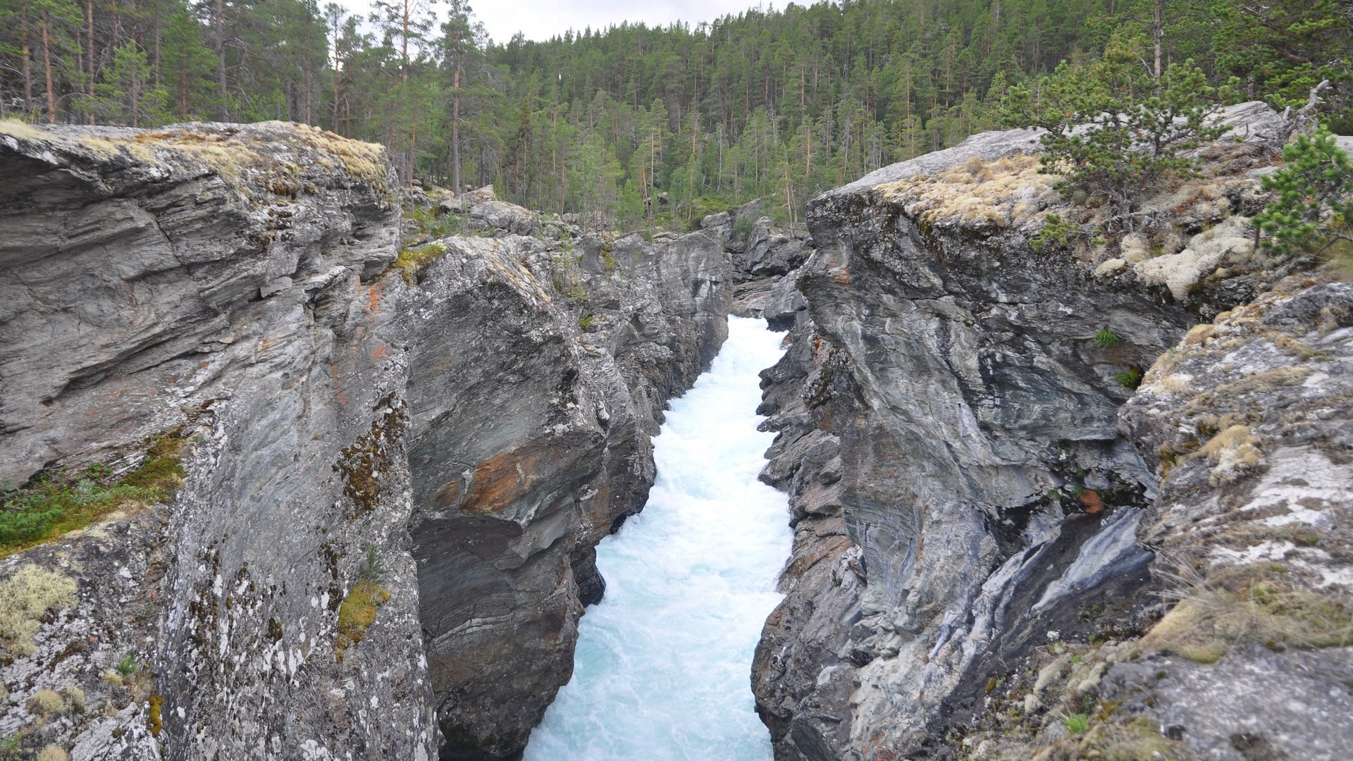 2016-07-29_065.JPG - PeBov 2016