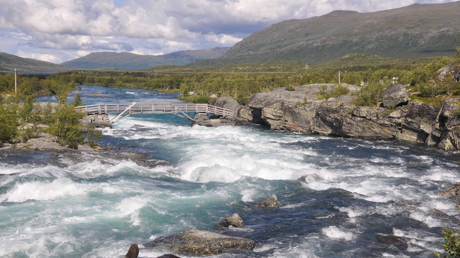 2016-07-30_010.JPG - PeBov 2016