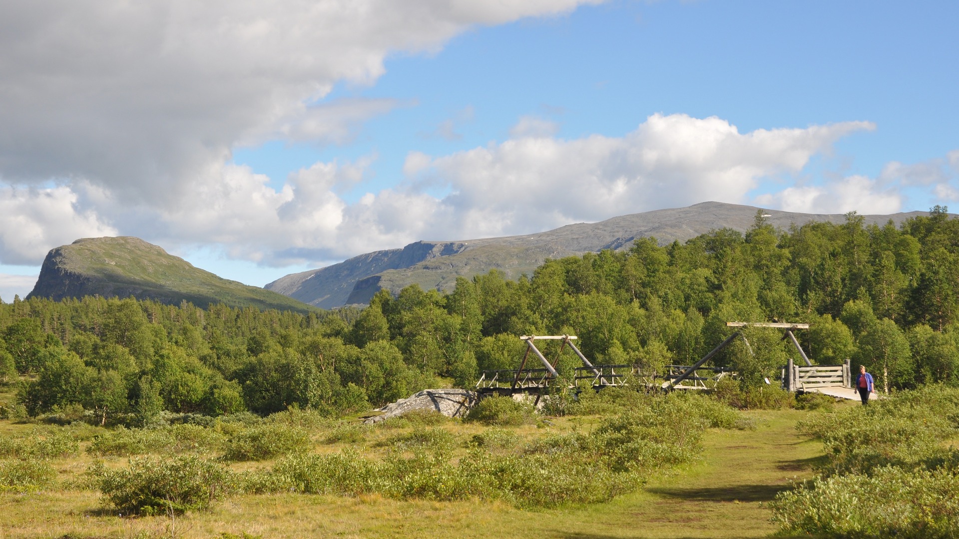 2016-07-30_027.JPG - PeBov 2016