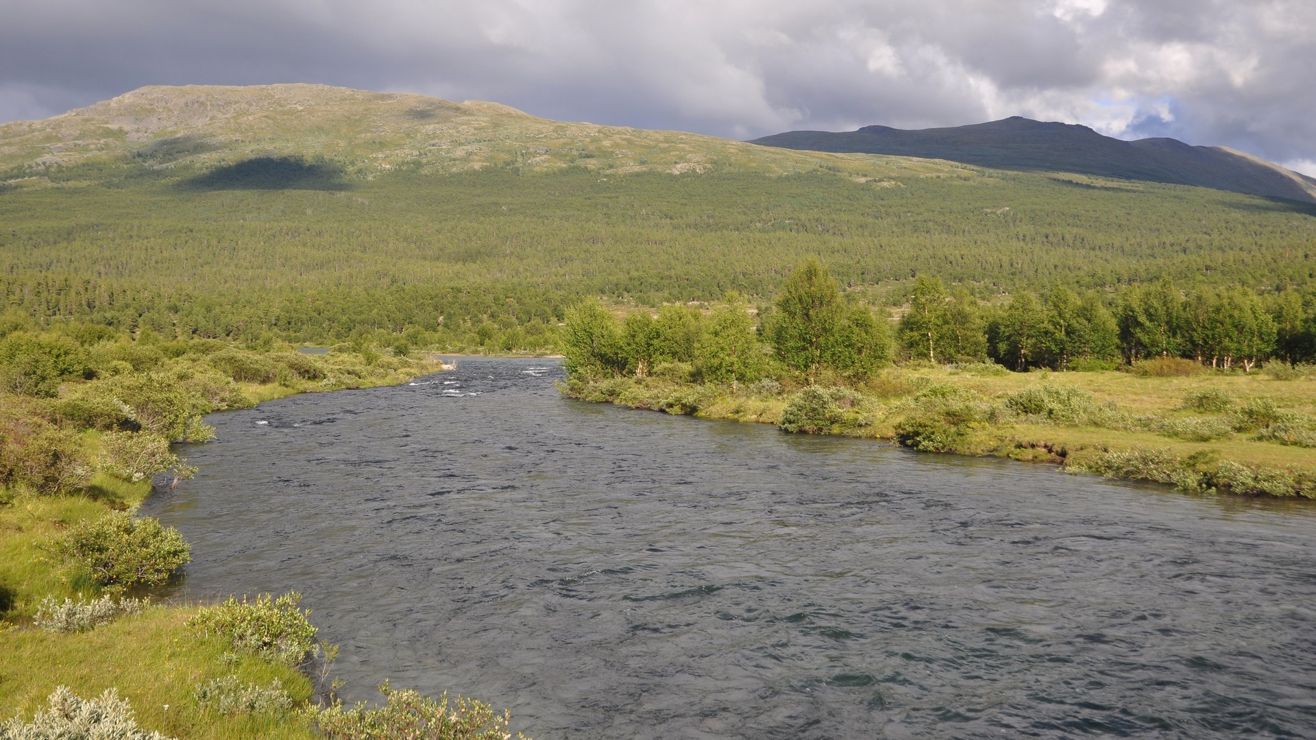 2016-07-30_028.JPG - PeBov 2016