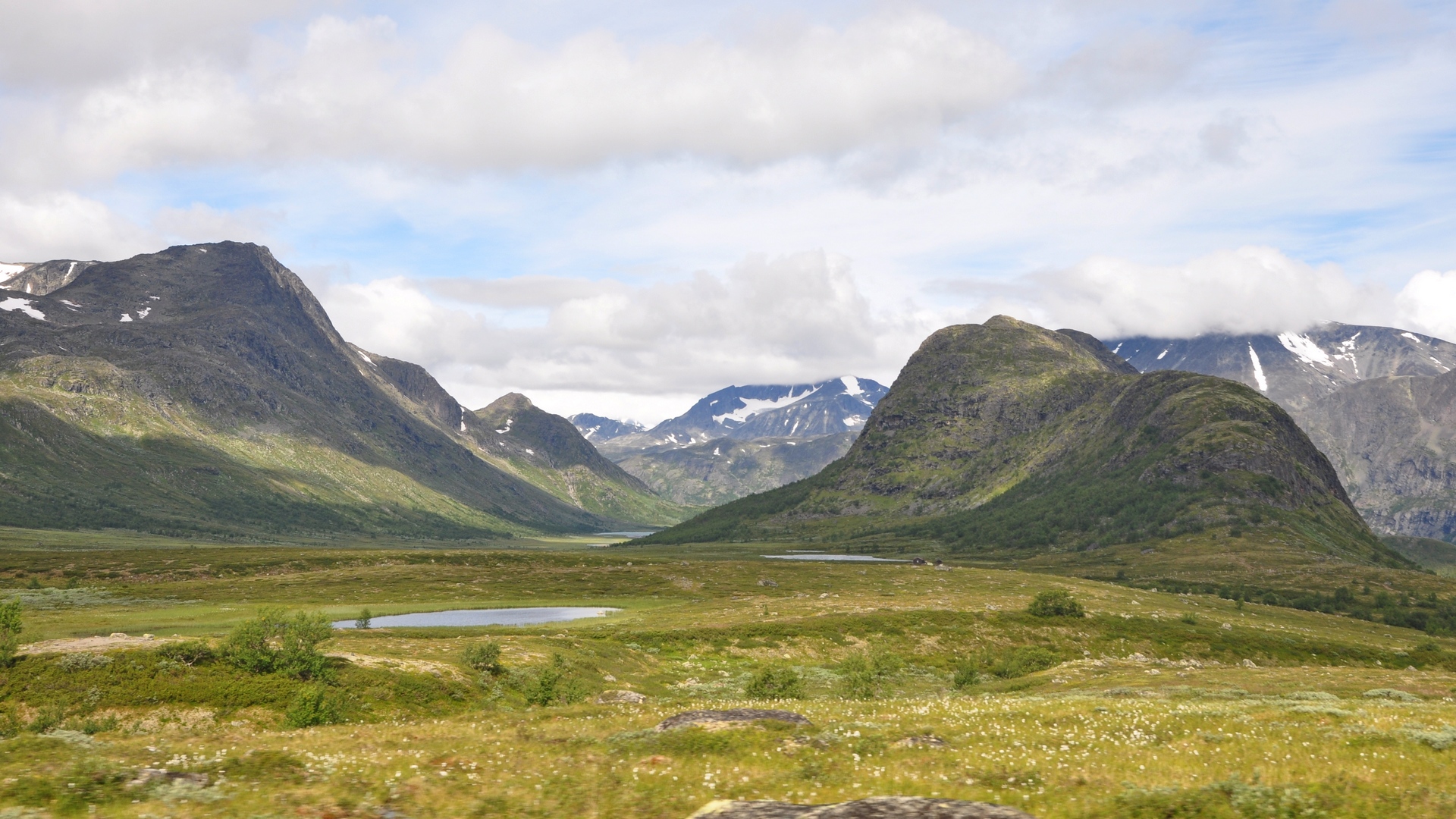 2016-07-31_016.JPG - PeBov 2016