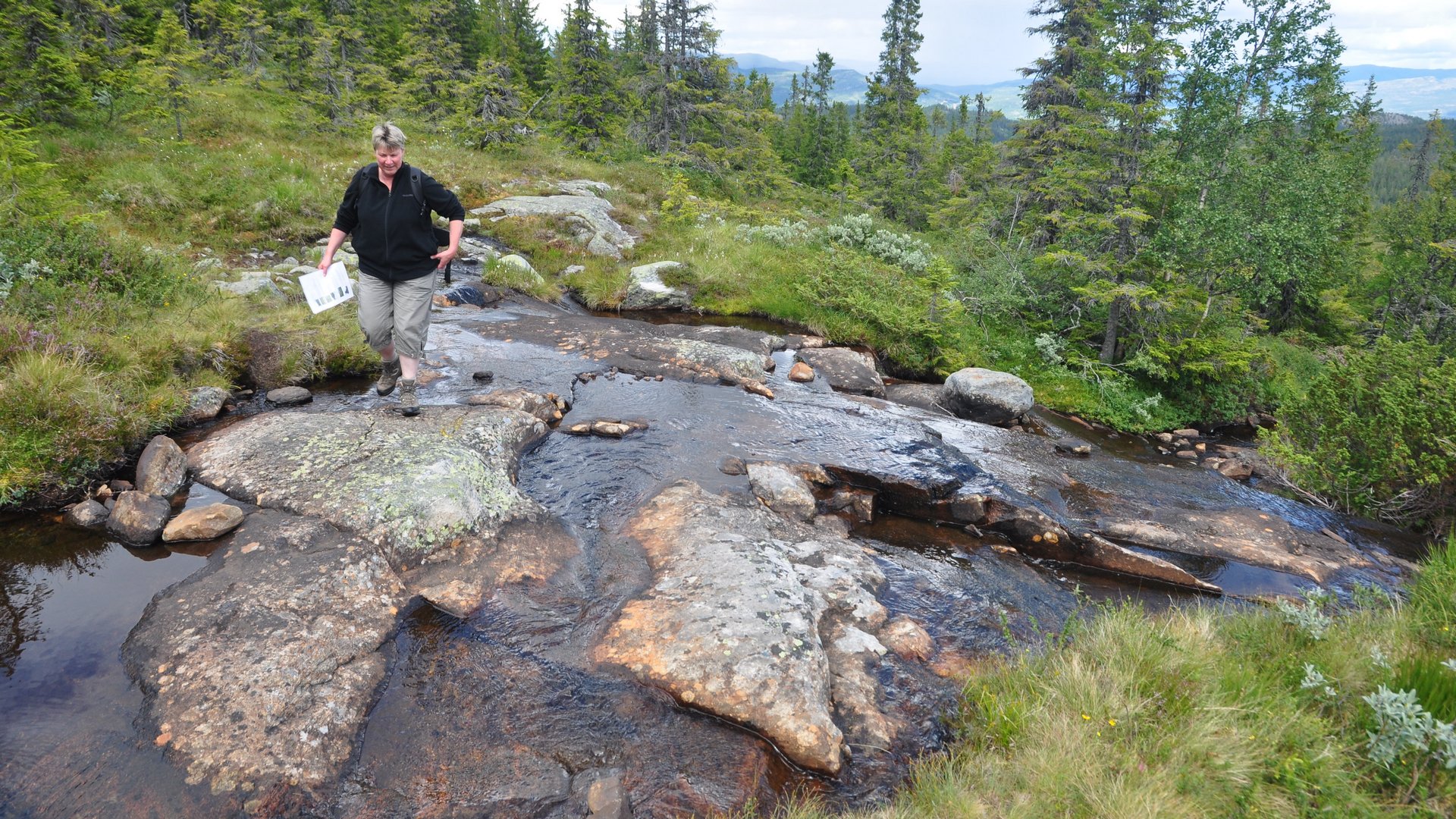 2016-08-01_008.JPG - PeBov 2016