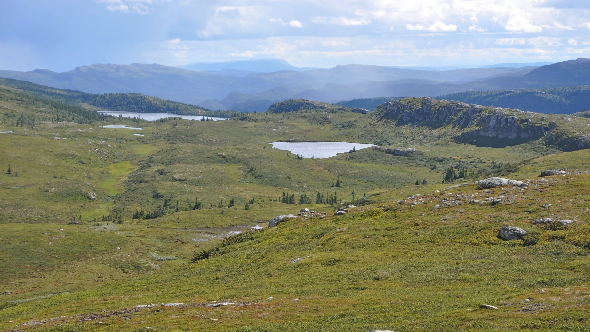 2016-08-01_028.JPG - PeBov 2016