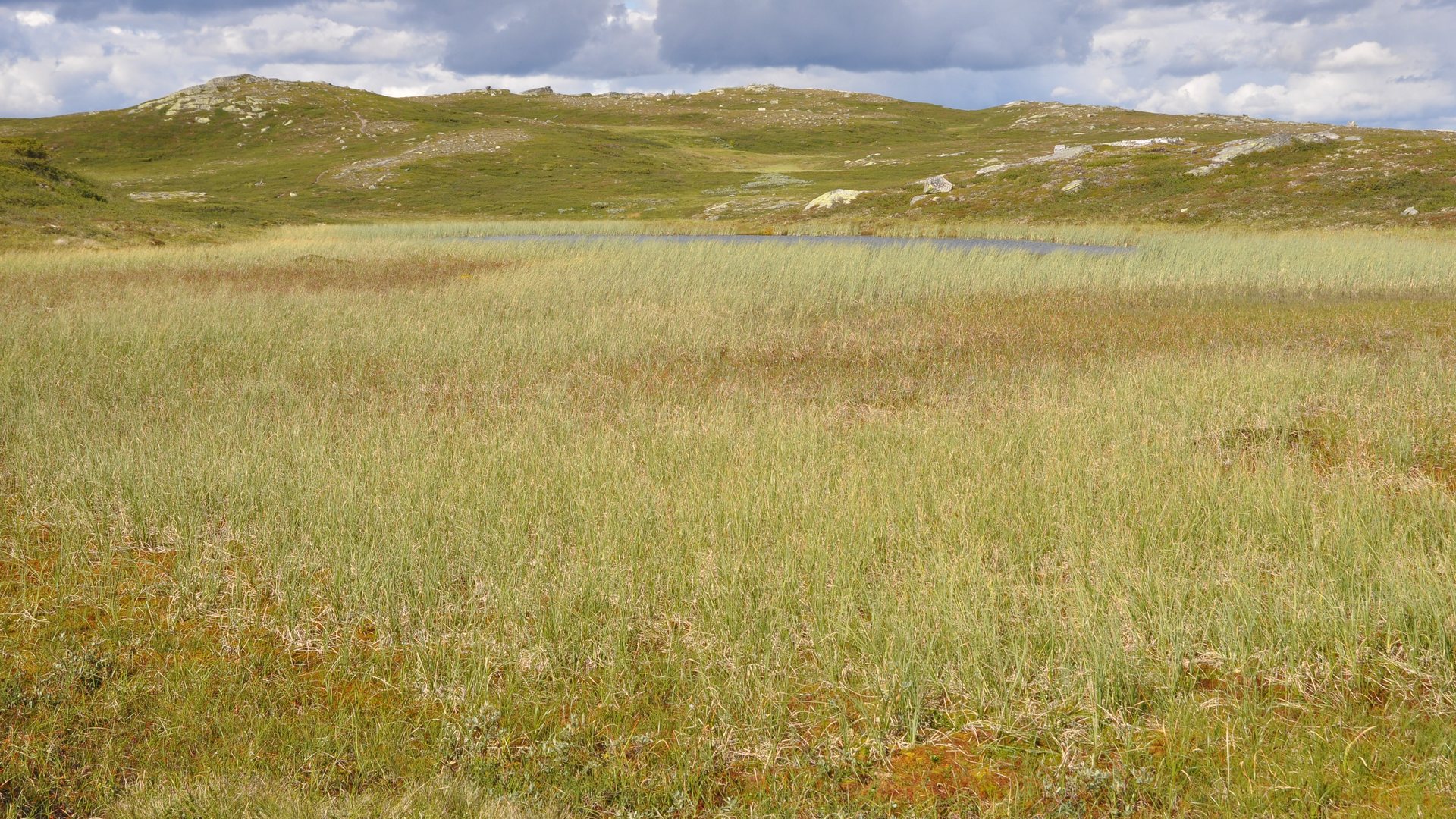 2016-08-01_032.JPG - PeBov 2016