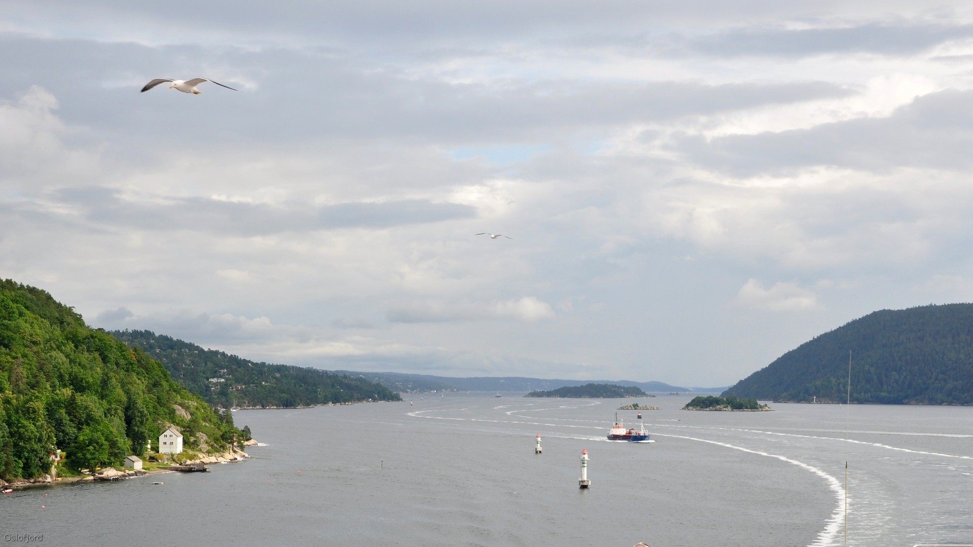 05_2016-07-13_028.jpg - PeBov 2015