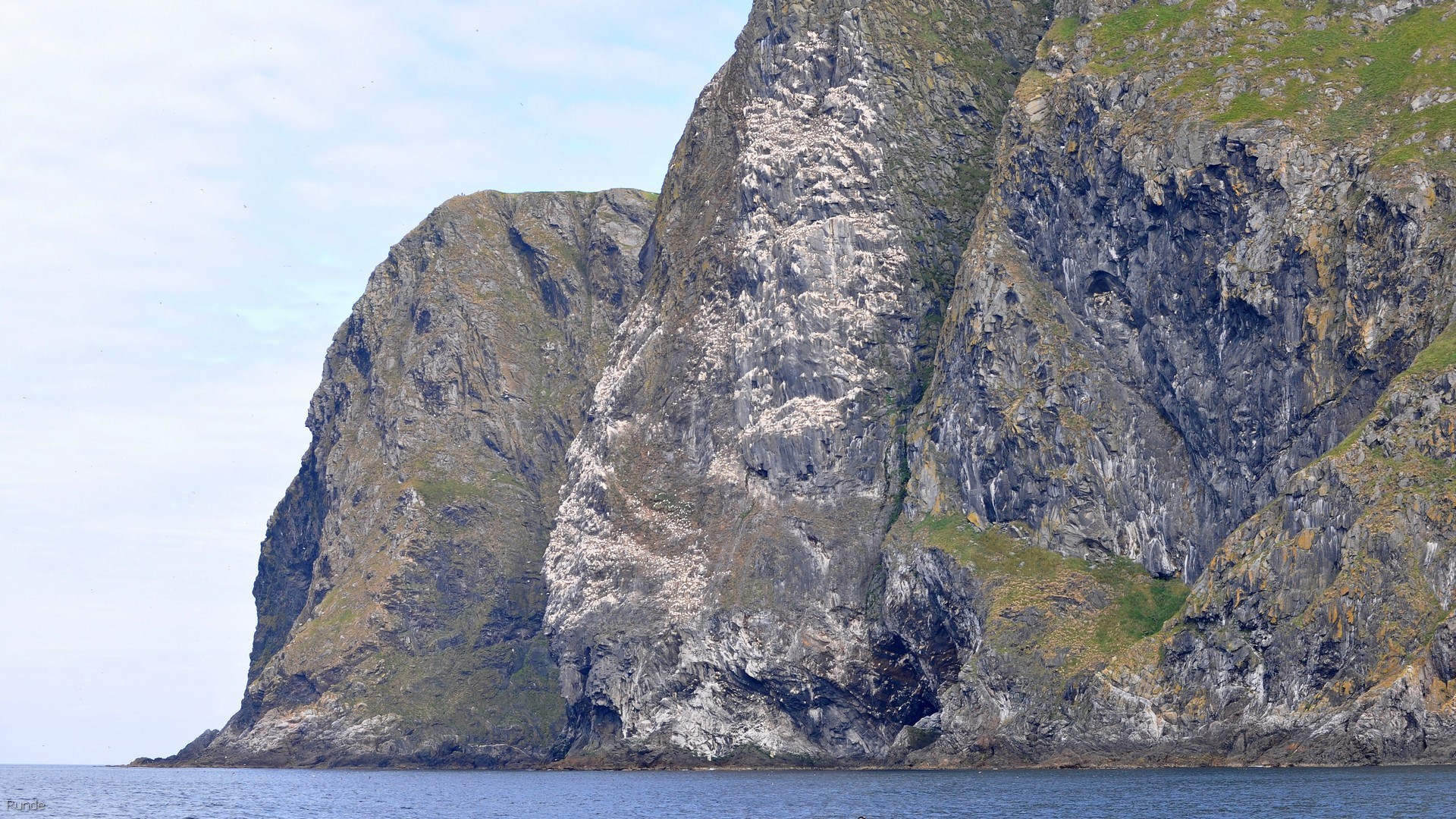 40_2016-07-23_047.jpg - PeBov 2016