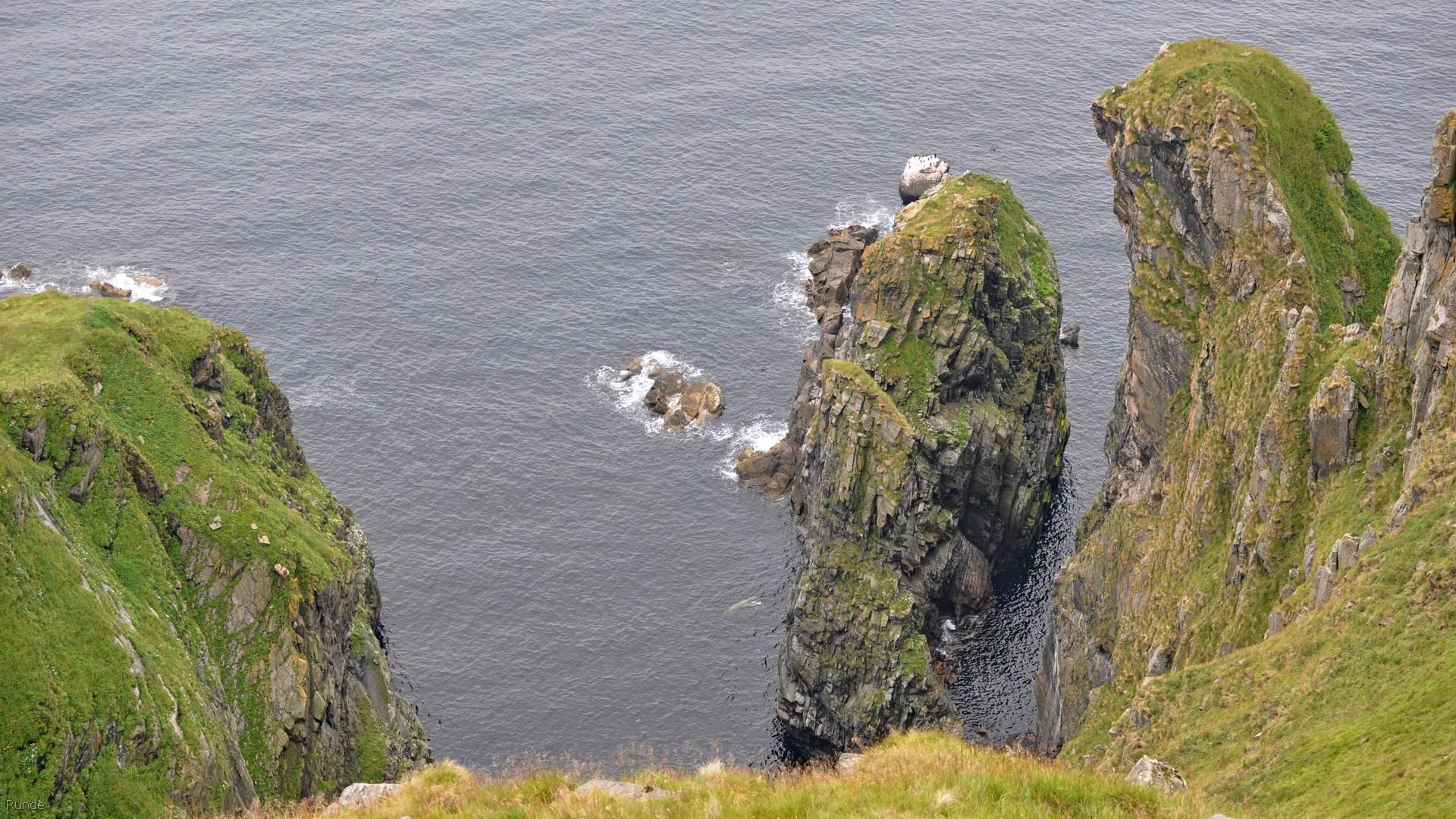 42_2016-07-23_114.jpg - PeBov 2016