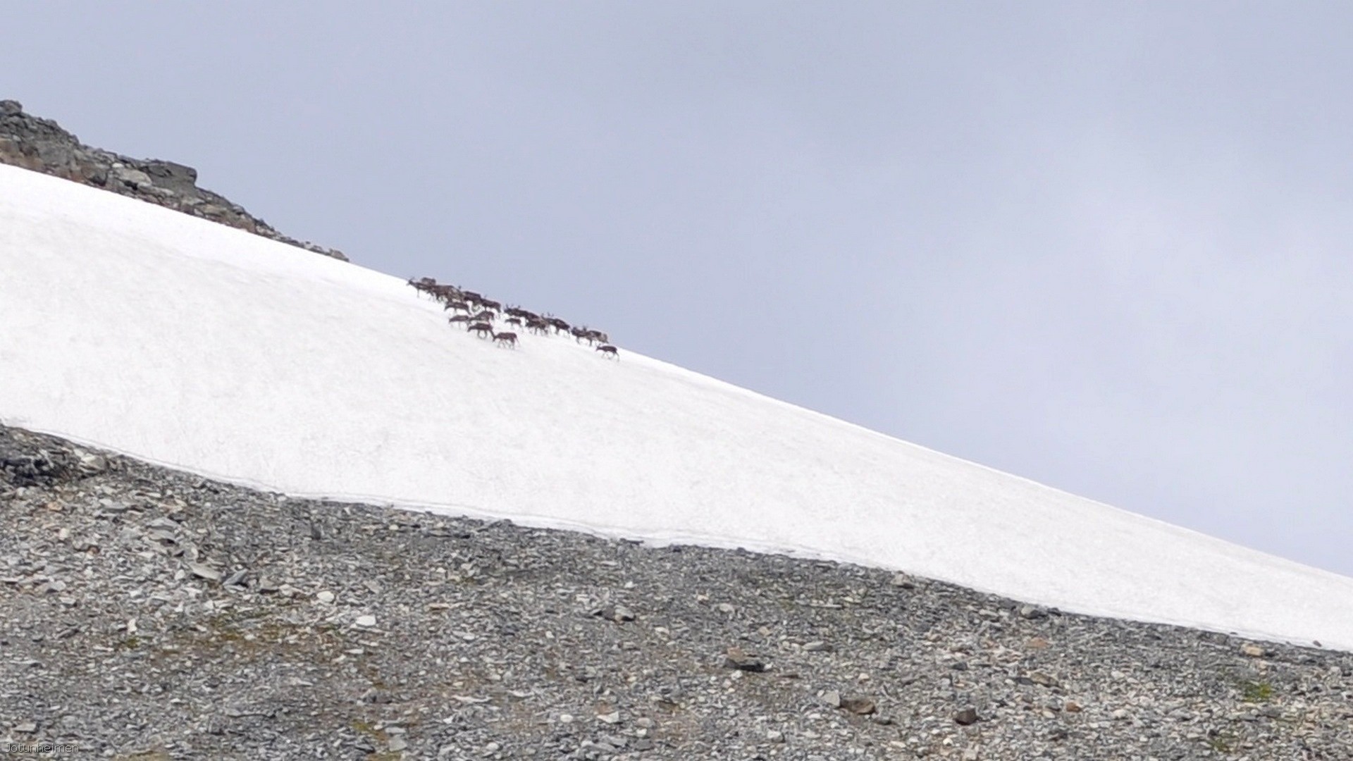 52_2016-07-29_048.jpg - PeBov 2016