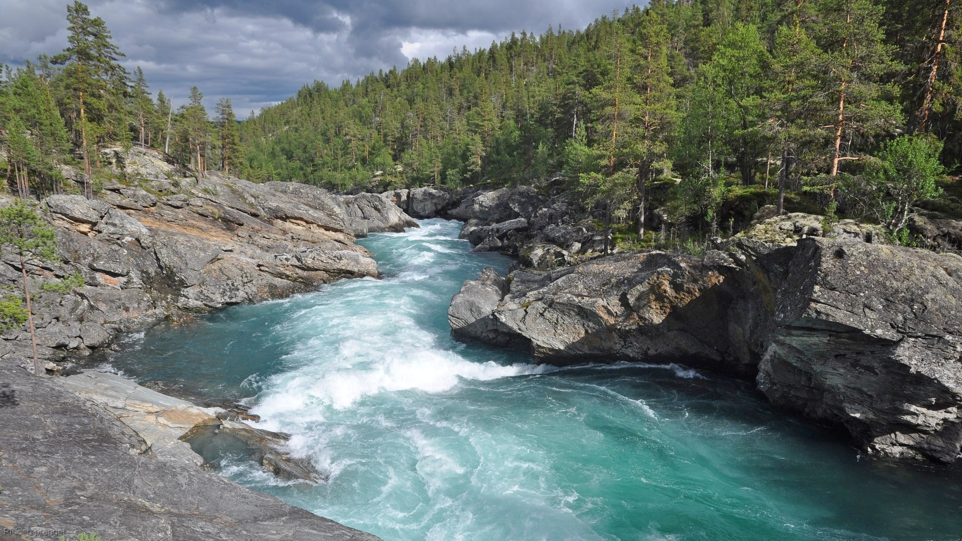 53_2016-07-29_074.jpg - PeBov 2016