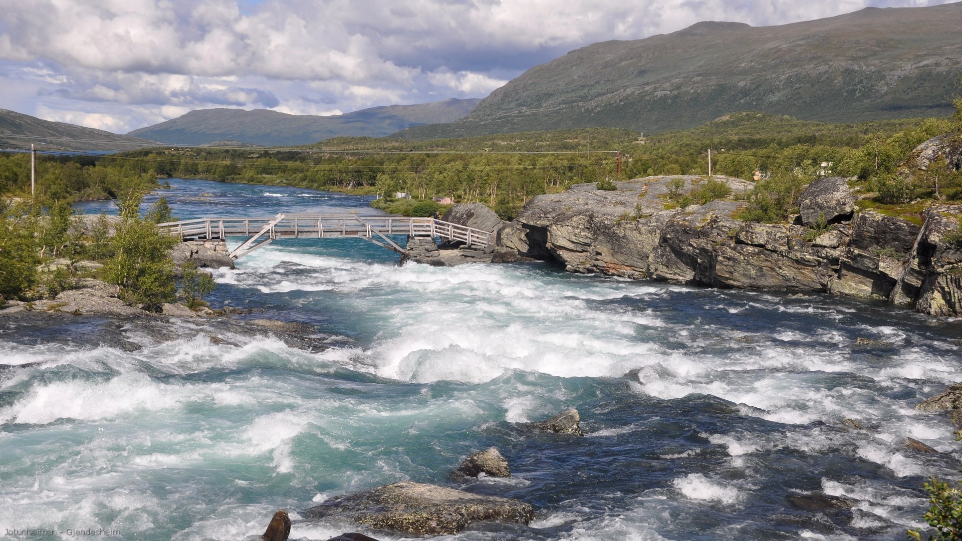 54_2016-07-30_010.jpg - PeBov 2016